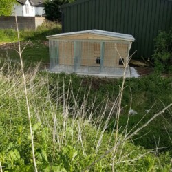 Custom Build Dog Kennel